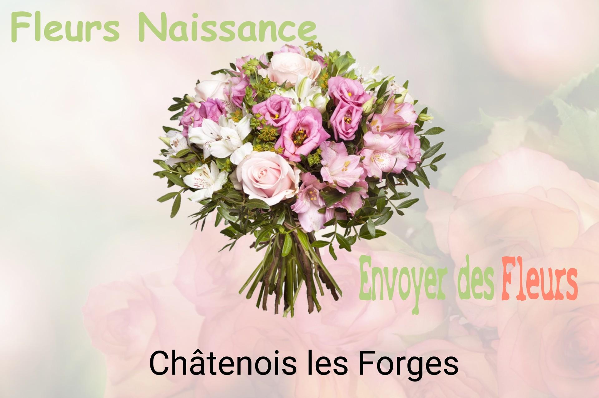 Bouquet de fleurs de naissance livré à Châtenois-les-Forges