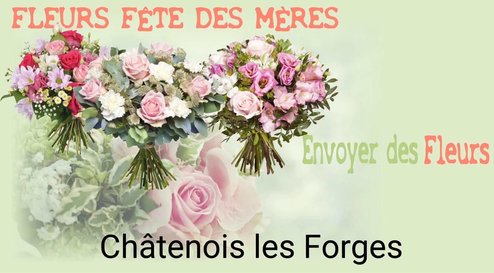 Bouquet de Fête des Mères livré à Châtenois-les-Forges